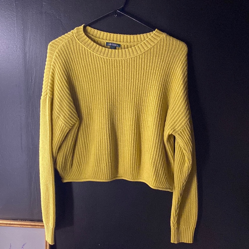 Wild Fable Sweater